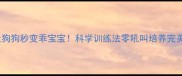 7天让狗狗秒变乖宝宝科学训练法零吼叫培养完美服从性