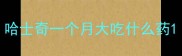 哈士奇一个月大吃什么药