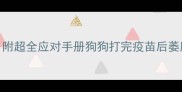 疫苗后精神萎靡3天自救指南附超全应对手册狗狗打完疫苗后萎靡不振怎么办新手养宠必看