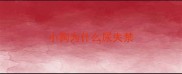 小狗为什么尿失禁