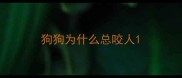 狗狗为什么总咬人