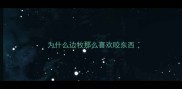 为什么边牧那么喜欢咬东西