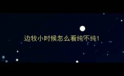 边牧小时候怎么看纯不纯