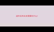 成年拉布拉多需要吃什么