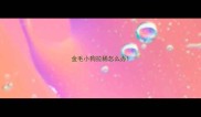 金毛小狗拉稀怎么办