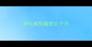 狮头藏獒藏獒五个月