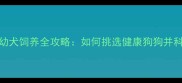 3-6个月大幼犬饲养全攻略如何挑选健康狗狗并科学养宠