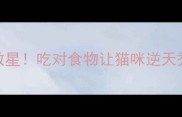 掉毛季救星吃对食物让猫咪逆天秃毛变顺滑
