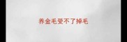 养金毛受不了掉毛