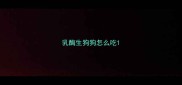 乳酶生狗狗怎么吃