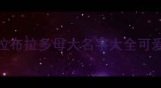 拉布拉多母大名字大全可爱