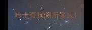 哈士奇狗厕所多大