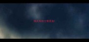 细犬和哈士奇混血
