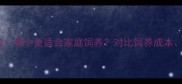 哈士奇vs阿拉斯加哪个更适合家庭饲养对比饲养成本健康及训练要点