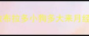 拉布拉多小狗多大来月经