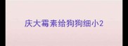 庆大霉素给狗狗细小