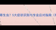 狗狗便便发现寄生虫5大症状识别与专业应对指南附自查清单