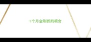 3个月金刚鹦鹉喂食