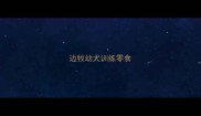 边牧幼犬训练零食