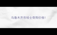 乌鲁木齐市哈士奇狗价格