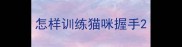 怎样训练猫咪握手