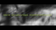 宠物护理新生儿舔伤口护理指南附紧急处理与科学预防全攻略