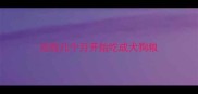 边牧几个月开始吃成犬狗粮