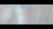 狗狗每天早上吐黄水