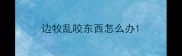 边牧乱咬东西怎么办