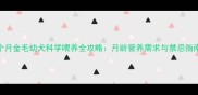 4个月金毛幼犬科学喂养全攻略月龄营养需求与禁忌指南