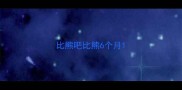 比熊吧比熊6个月