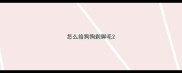 怎么给狗狗剃脚毛