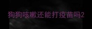 狗狗咳嗽还能打疫苗吗