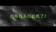 拉布拉多拉血死了