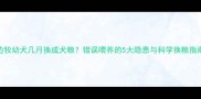 边牧幼犬几月换成犬粮错误喂养的5大隐患与科学换粮指南