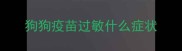 狗狗疫苗过敏什么症状
