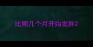 比熊几个月开始发胖