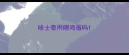 哈士奇用喂鸡蛋吗