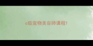 c级宠物美容师课程