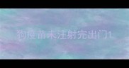 狗疫苗未注射完出门