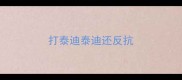打泰迪泰迪还反抗