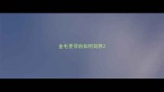 金毛受孕后如何饲养