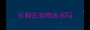 买狗去宠物店买吗
