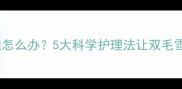 哈士奇毛发粗糙怎么办5大科学护理法让双毛雪橇犬焕发光彩