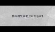 猫咪出生需要注射的疫苗