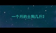 一个月的土狗几斤