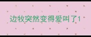 边牧突然变得爱叫了