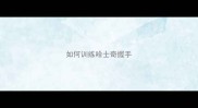 如何训练哈士奇握手