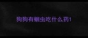 狗狗有蛔虫吃什么药