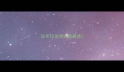 拉布拉多幼犬的挑选